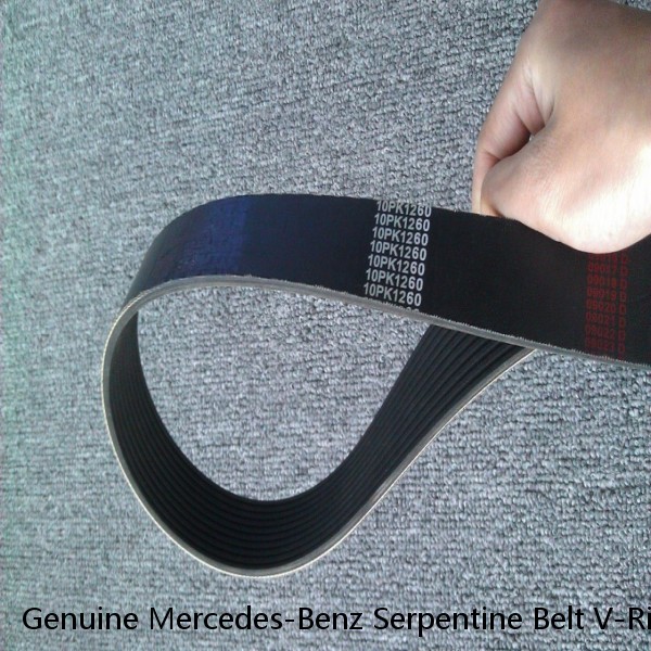 Genuine Mercedes-Benz Serpentine Belt V-Ribbed Belt 0039937296