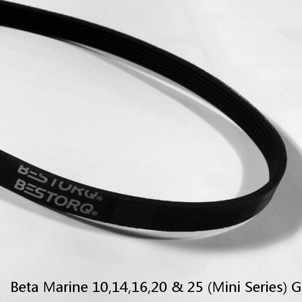 Beta Marine 10,14,16,20 & 25 (Mini Series) Genuine Service Kit & Poly Vee Belt
