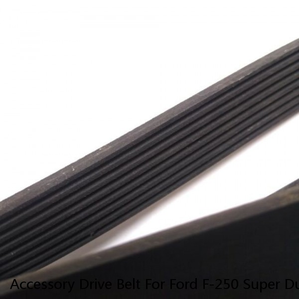 Accessory Drive Belt For Ford F-250 Super Duty F-350 Ram 2500