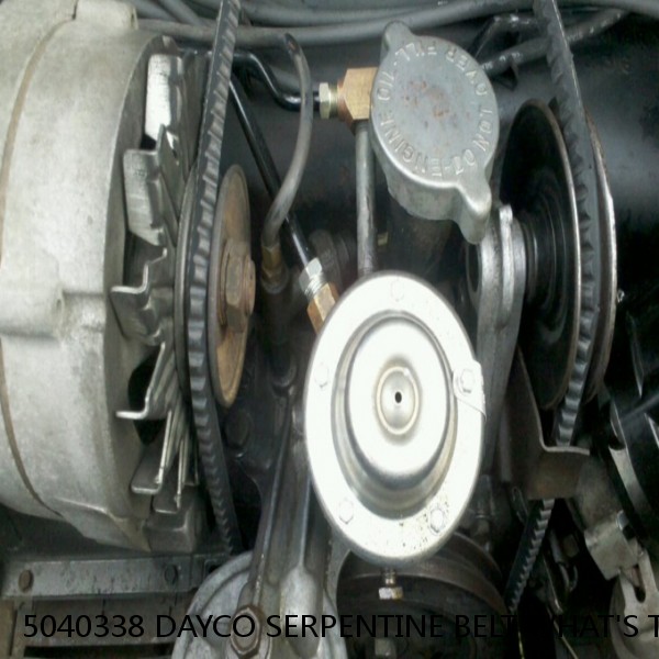 5040338 DAYCO SERPENTINE BELT WHAT'S THE BEST PRICE ON BELTS