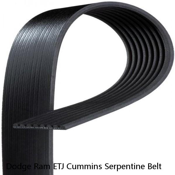 Dodge Ram ETJ Cummins Serpentine Belt #1 small image