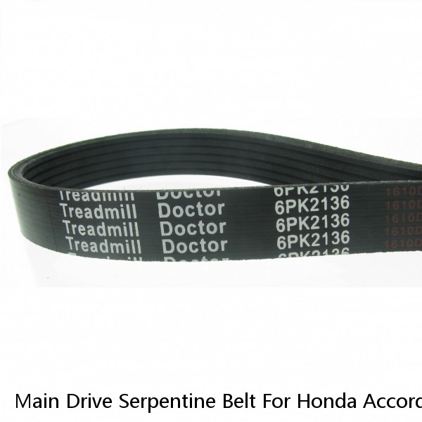 Main Drive Serpentine Belt For Honda Accord Ford Odyssey F-150 Pilot Hyundai Kia
