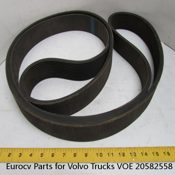 Eurocv Parts for Volvo Trucks VOE 20582558 Dayco 89823 V-Ribbed Belt Tensioner #1 image