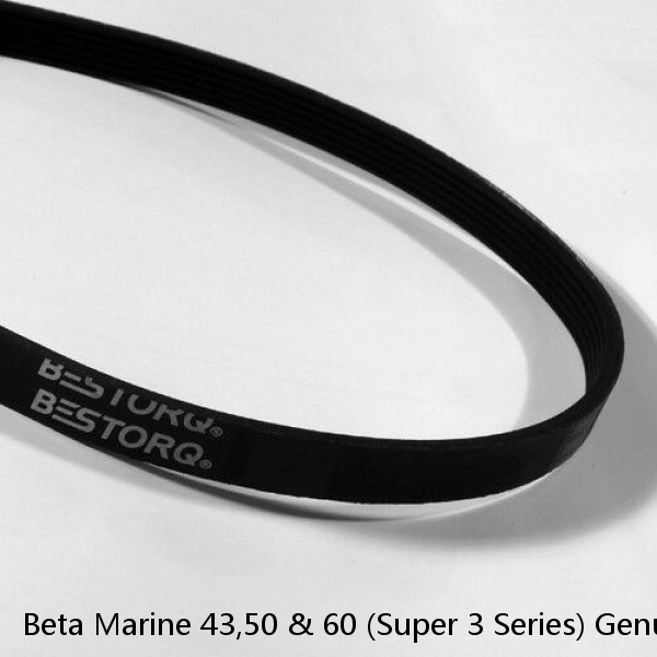 Beta Marine 43,50 & 60 (Super 3 Series) Genuine Service Kit & Poly Vee Belt #1 image