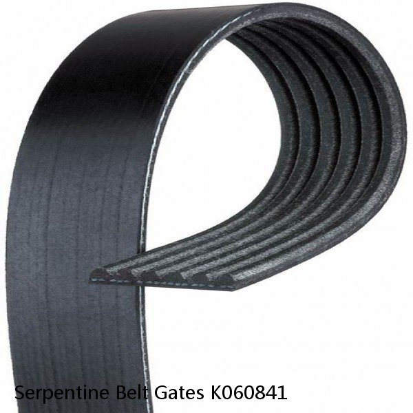 Serpentine Belt Gates K060841 #1 image