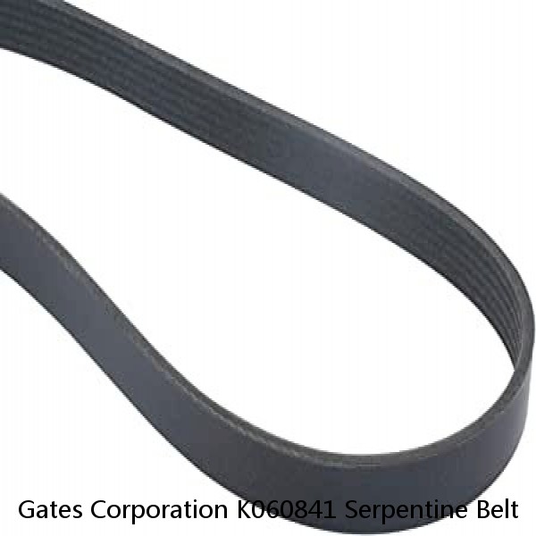 Gates Corporation K060841 Serpentine Belt   Micro V Serpentine Drive Belt #1 image