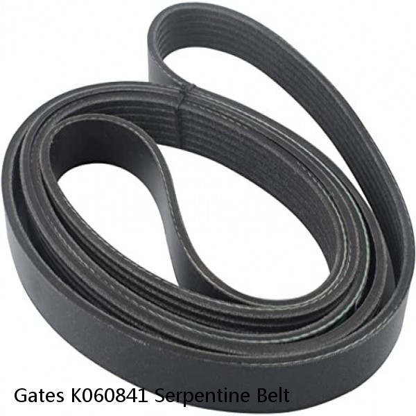 Gates K060841 Serpentine Belt #1 image
